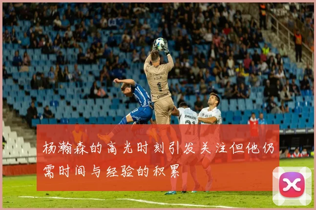 杨瀚森的高光时刻引发关注但他仍需时间与经验的积累