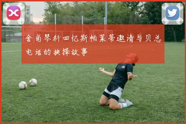 舍甫琴科回忆斯帕莱蒂邀请与贝总电话的抉择故事